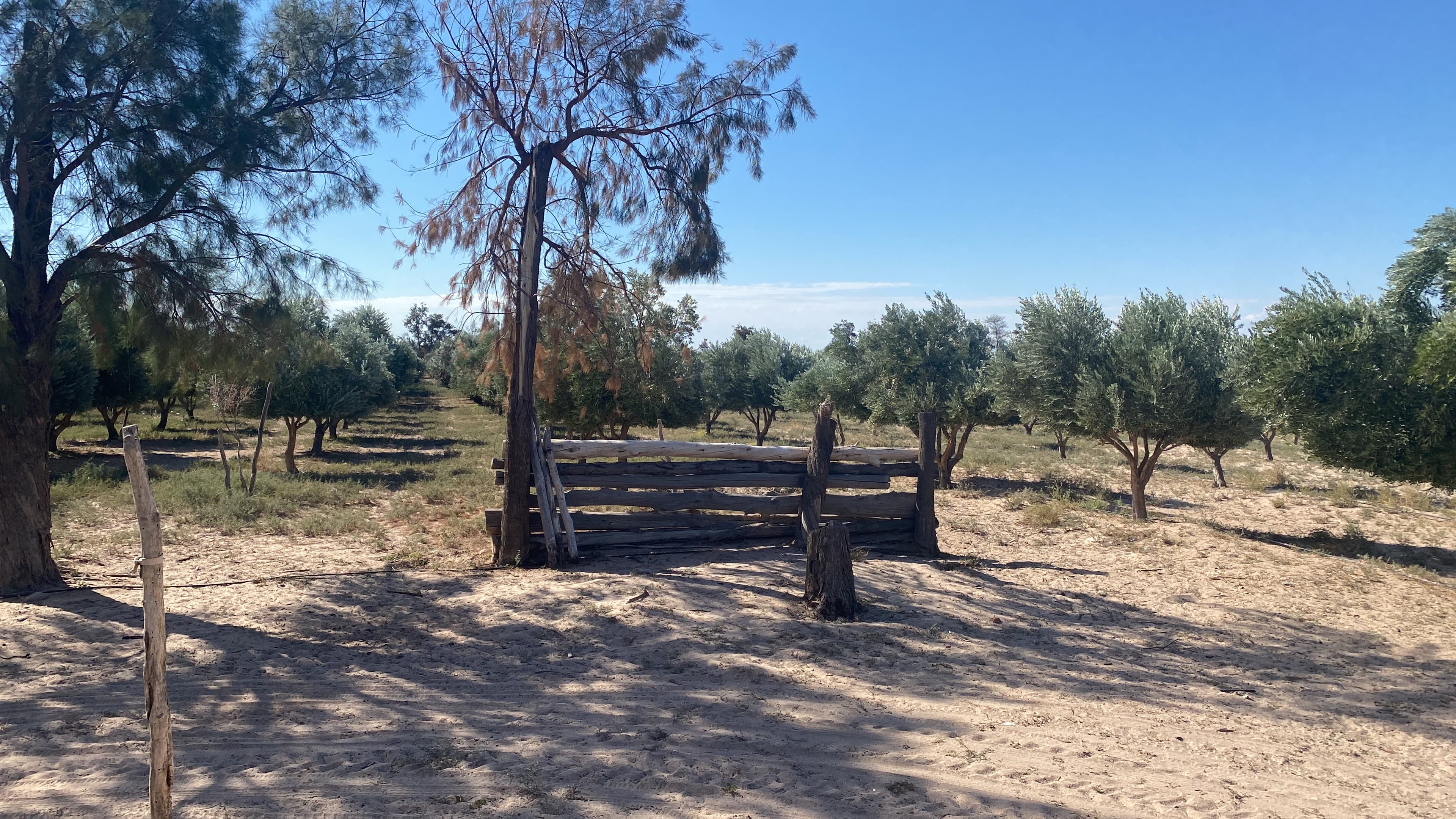 Montañas de los Andes y valle